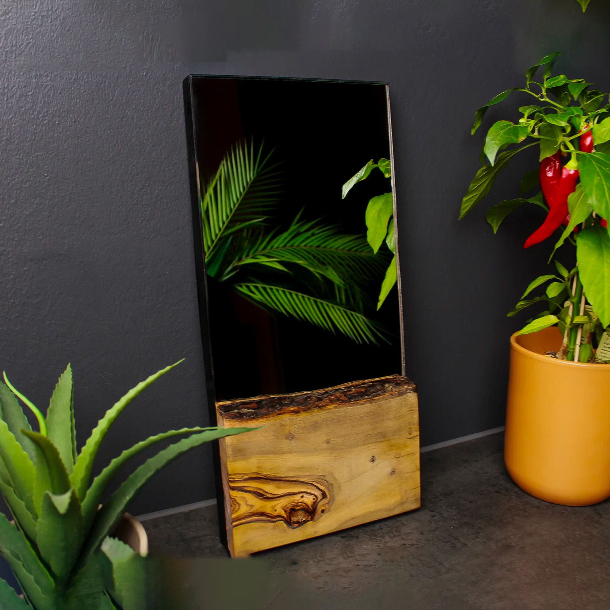 Grigri Didon Wood - Miroir rectangulaire - 3